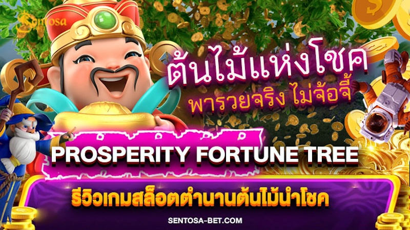 prosperity fortune tree pg