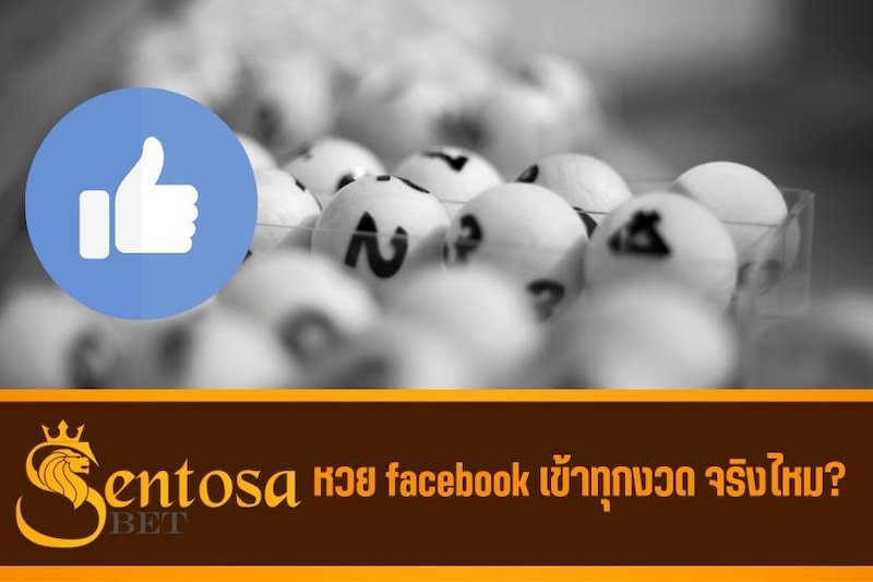 หวยเด็ดๆเข้าทุกงวด facebook ฟรี