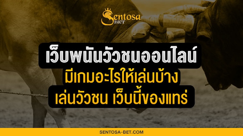 เว็บพนันวัวชนออนไลน์