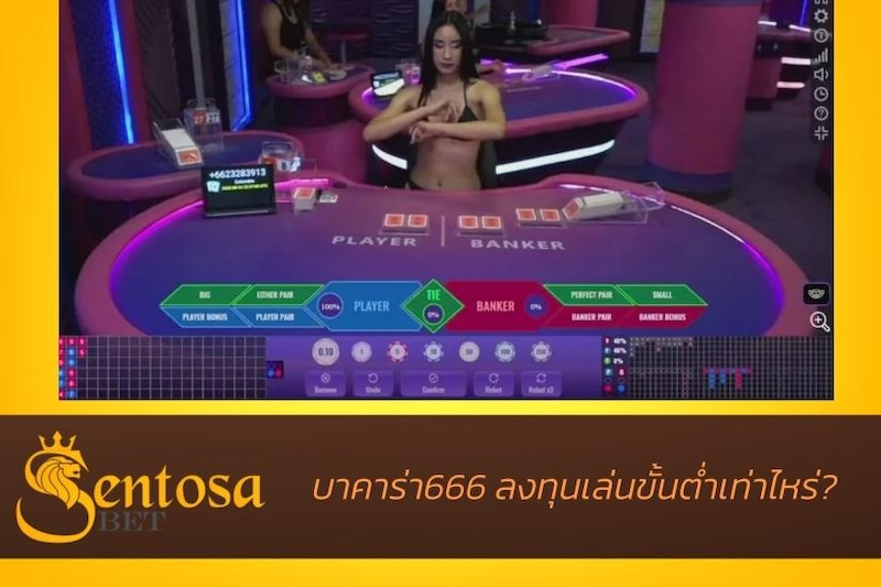 บาคาร่า 666 เข้าสู่ระบบ