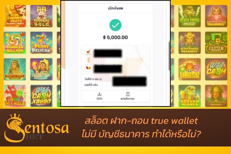 สล็อตฝากถอน true wallet