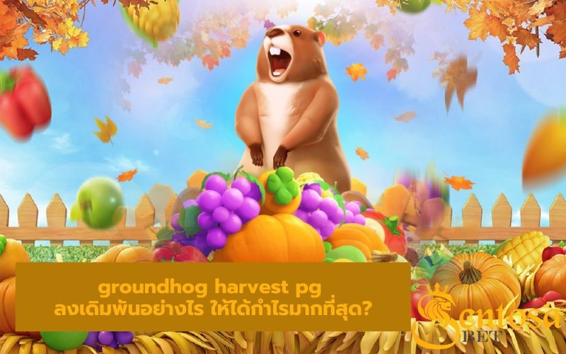 Groundhog Harvest slot