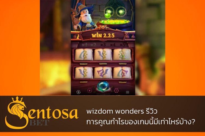 Wizdom Wonders