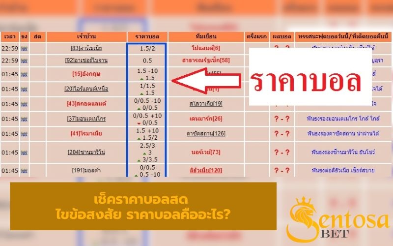 เช็คราคาบอลสด