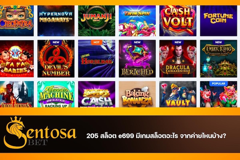 205 สล็อต e699 เข้าสู่ระบบ