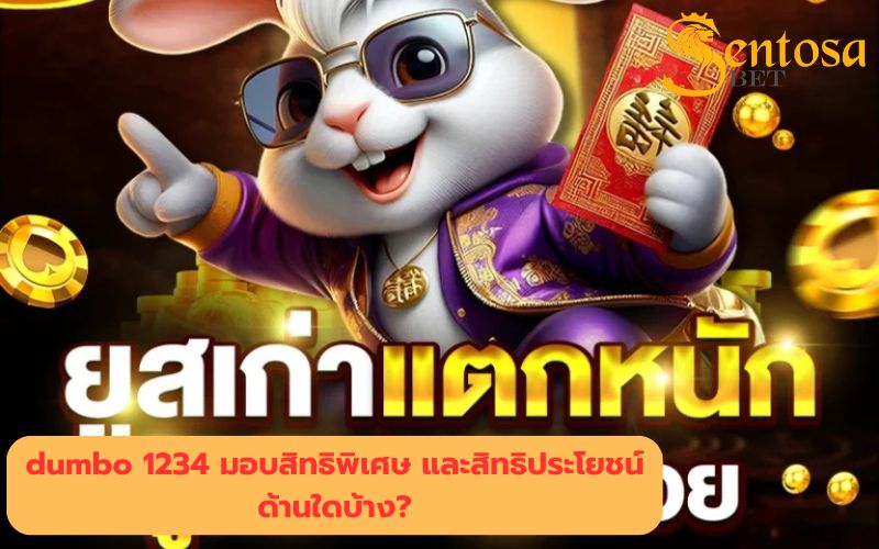 dumbo12345 เข้าสู่ระบบ