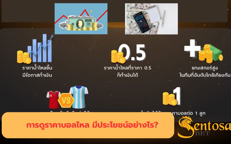 ดูราคาบอลไหล