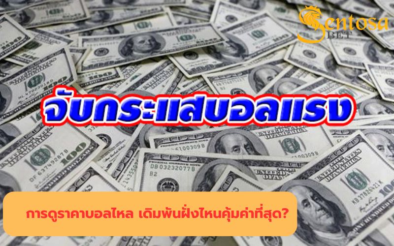 ราคา บอลไหล