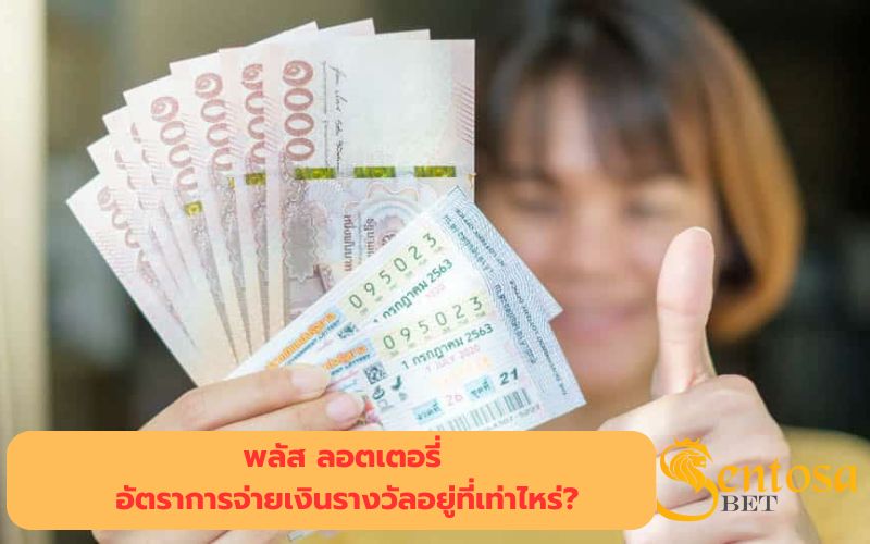 สลากพลัส ออนไลน์