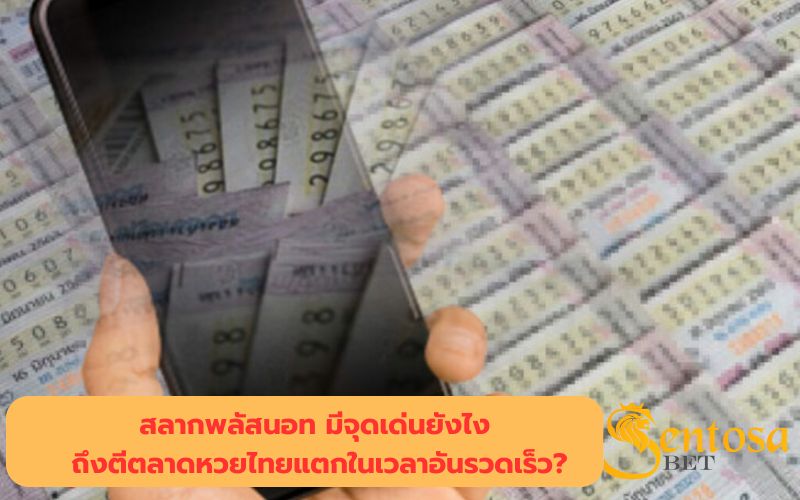 ล็อตโต้ vip