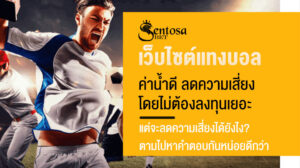 เว็บไซต์แทงบอล