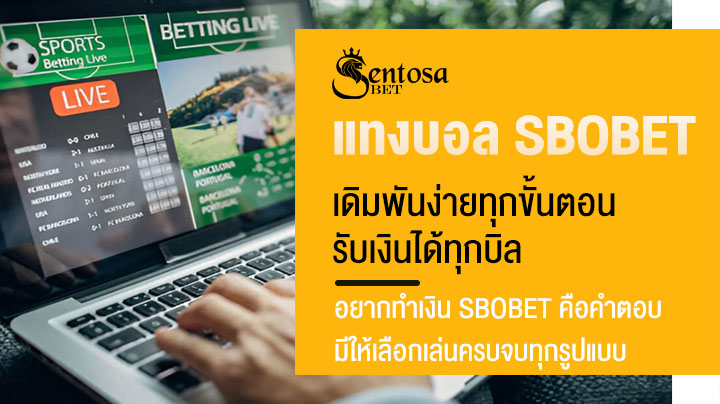 แทงบอล sbobet