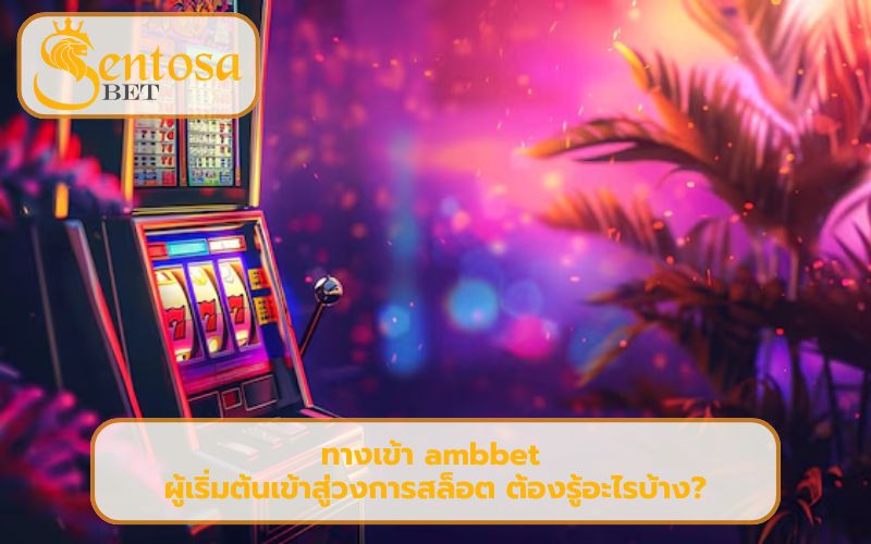 เว็บสล็อตออนไลน์