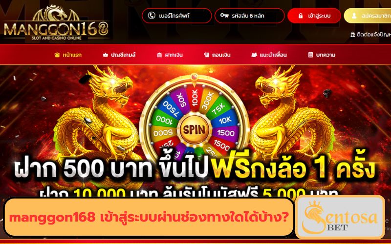 เว็บสล็อตดราก้อน