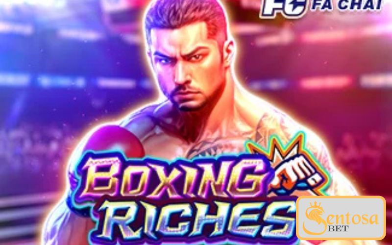 Boxing Riches
