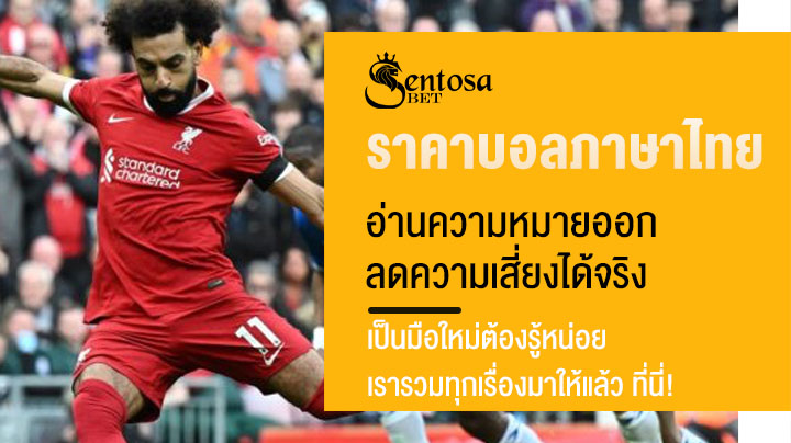 ราคาบอลภาษาไทย