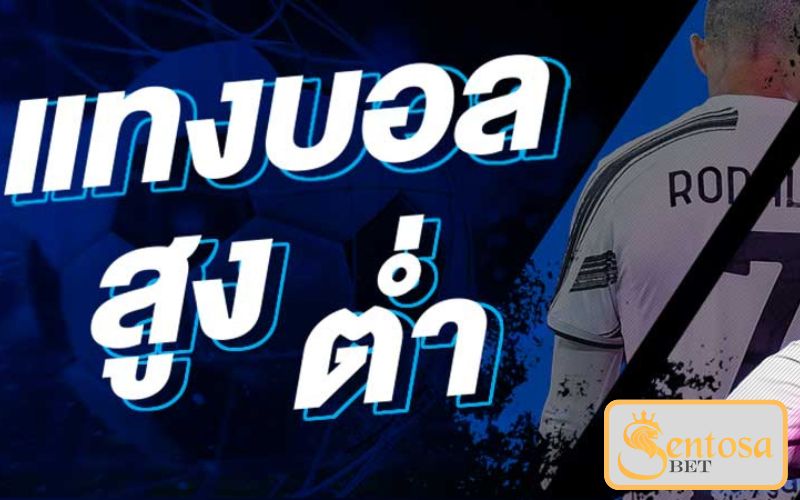 ราคาบอลสูงต่ำ (Over - Under)