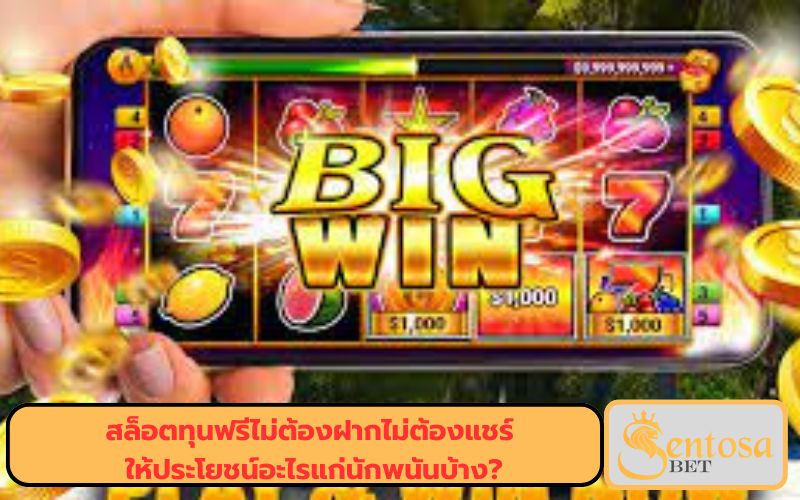 ทางเข้า เล่น สล็อต