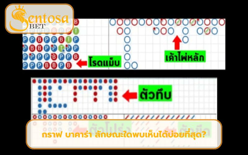 กราฟ บาคาร่า