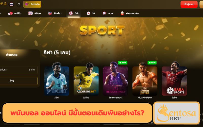 เว็บแทงบอล