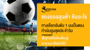 แทงบอลสูงต่ำ คืออะไร