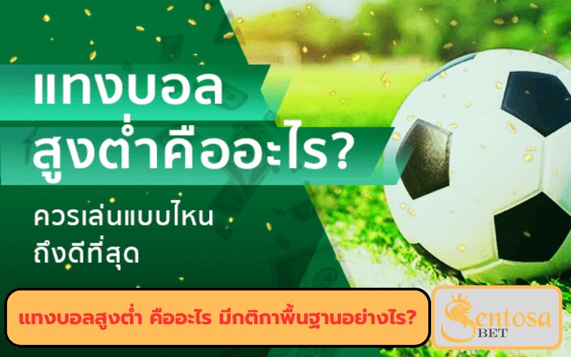 บอลสูงต่ำแม่นๆ