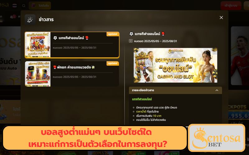 เว็บแทงบอล