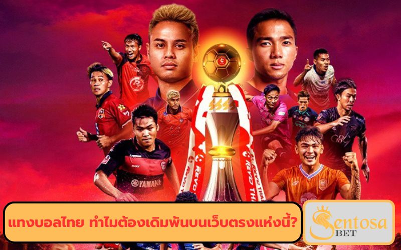 ราคา บอลไทย