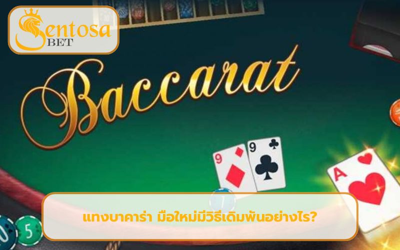 วิธีแทงบาคาร่า