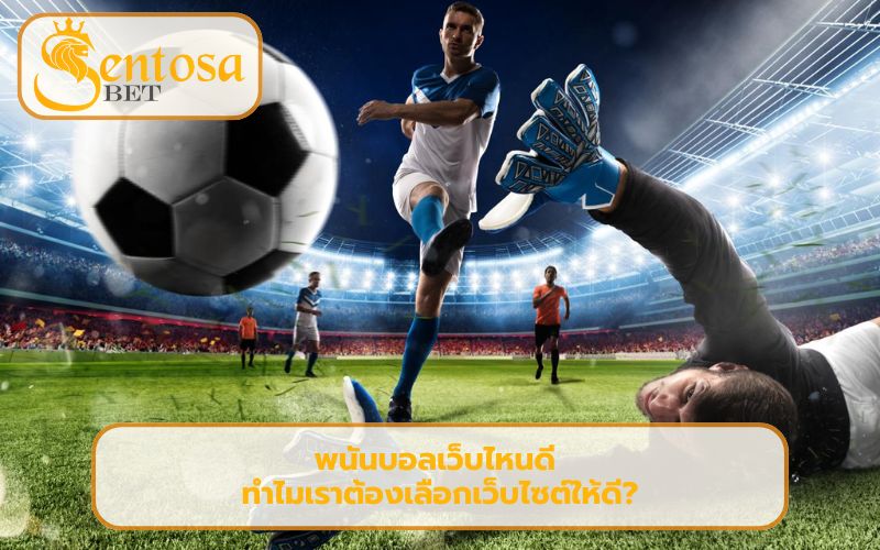 สมัครเว็บพนันบอล ดีที่สุด