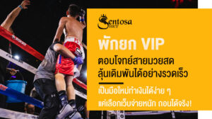 พักยก vip