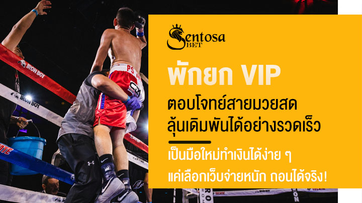 พักยก vip