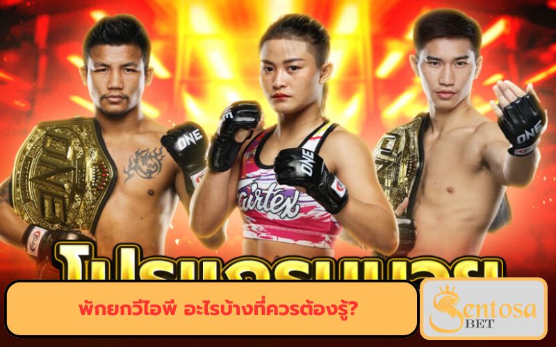 เล่นมวยกับเว็บตรง