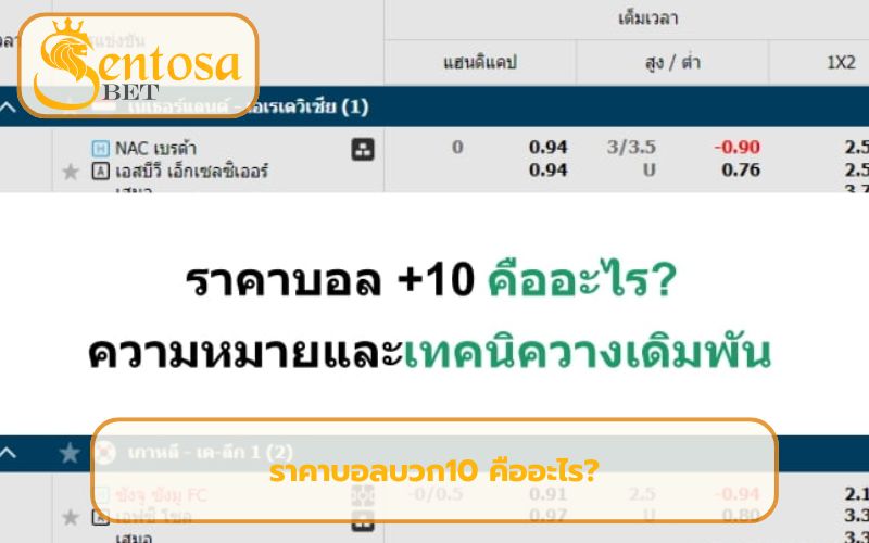 เว็บบอลออนไลน์