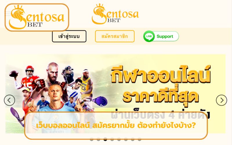 เว็บแทงบอลได้เงินจริง
