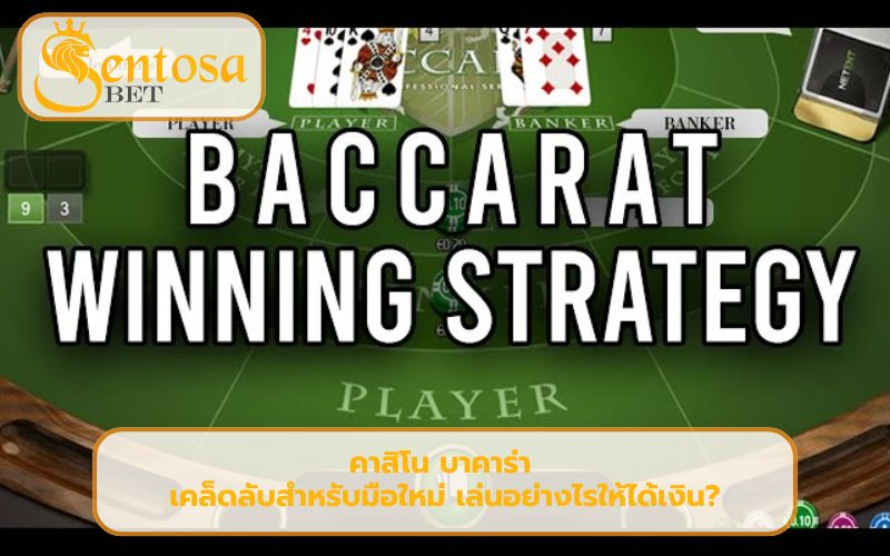 เทคนิคเล่นบาคาร่า